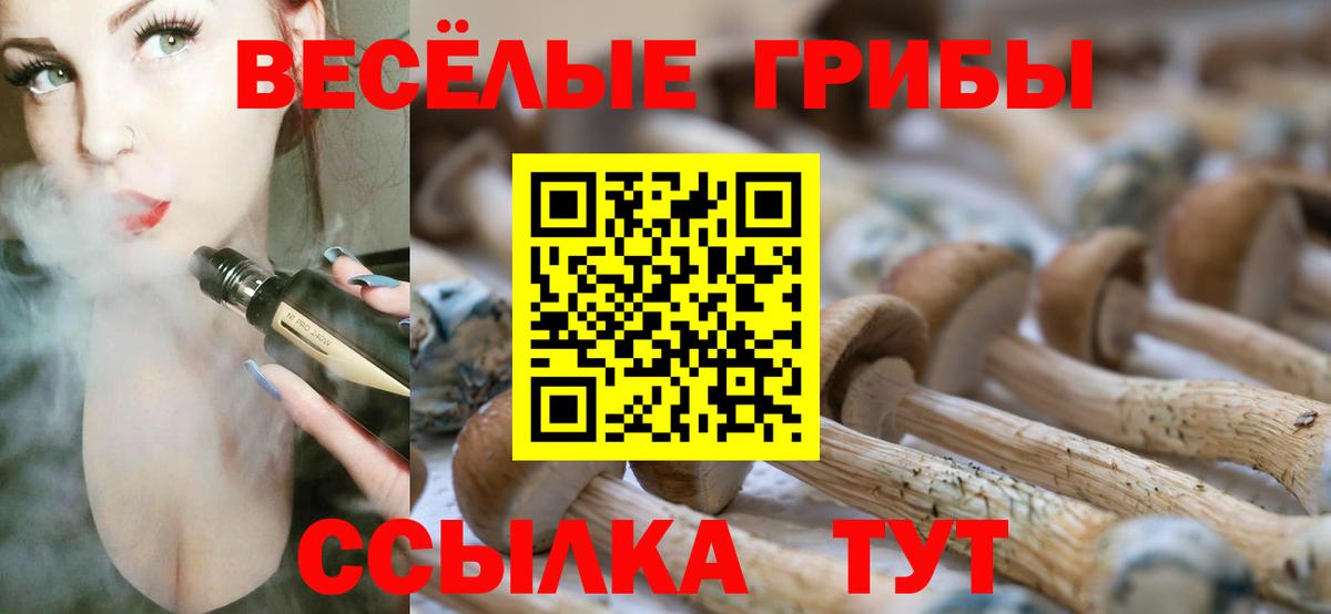 Псилоцибиновые грибы прущие грибы  Вход с VPN  Рассказово  Галлюциногенные грибы GOLDEN TEACHER 