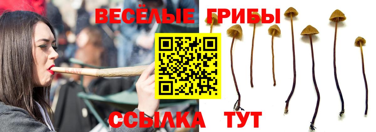 Галлюциногенные грибы MAGIC MUSHROOMS Рассказово